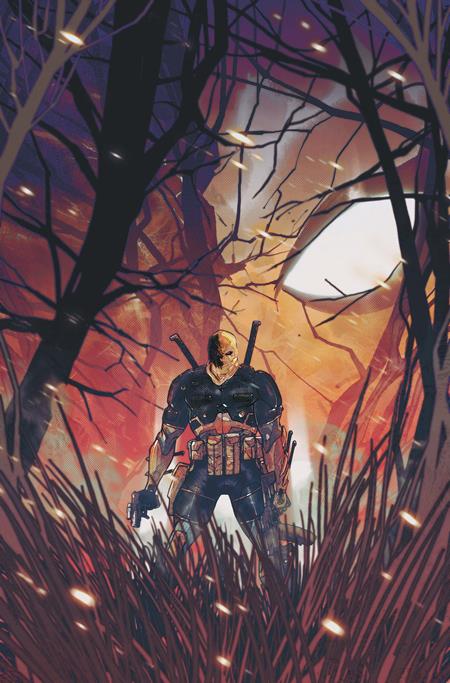 Deathstroke The Terminator #9 - A Carmine Di Giandomenico
